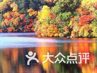 时尚太阳眼镜